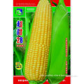 High Yield Chinese Hybrid Bulk Incredible Sweet Corn Seed For Cultivation